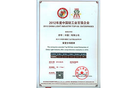 2012年度中國(guó)輕工業(yè)(成長(zhǎng)能力)百?gòu)?qiáng)企業(yè)