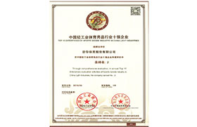 2018年中國(guó)輕工業(yè)體育用品行業(yè)十強(qiáng)企業(yè)